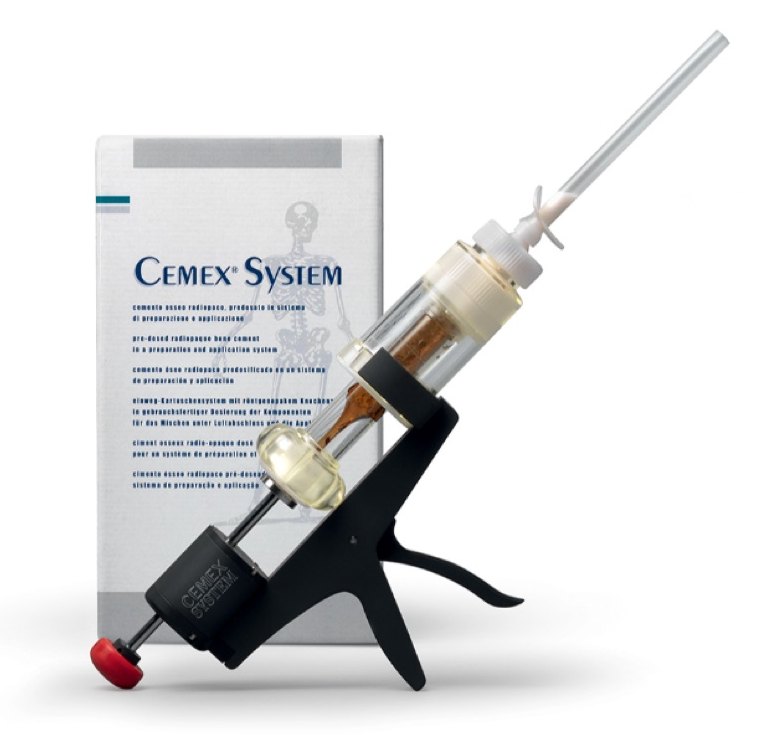 CEMEX SYSTEM SYST